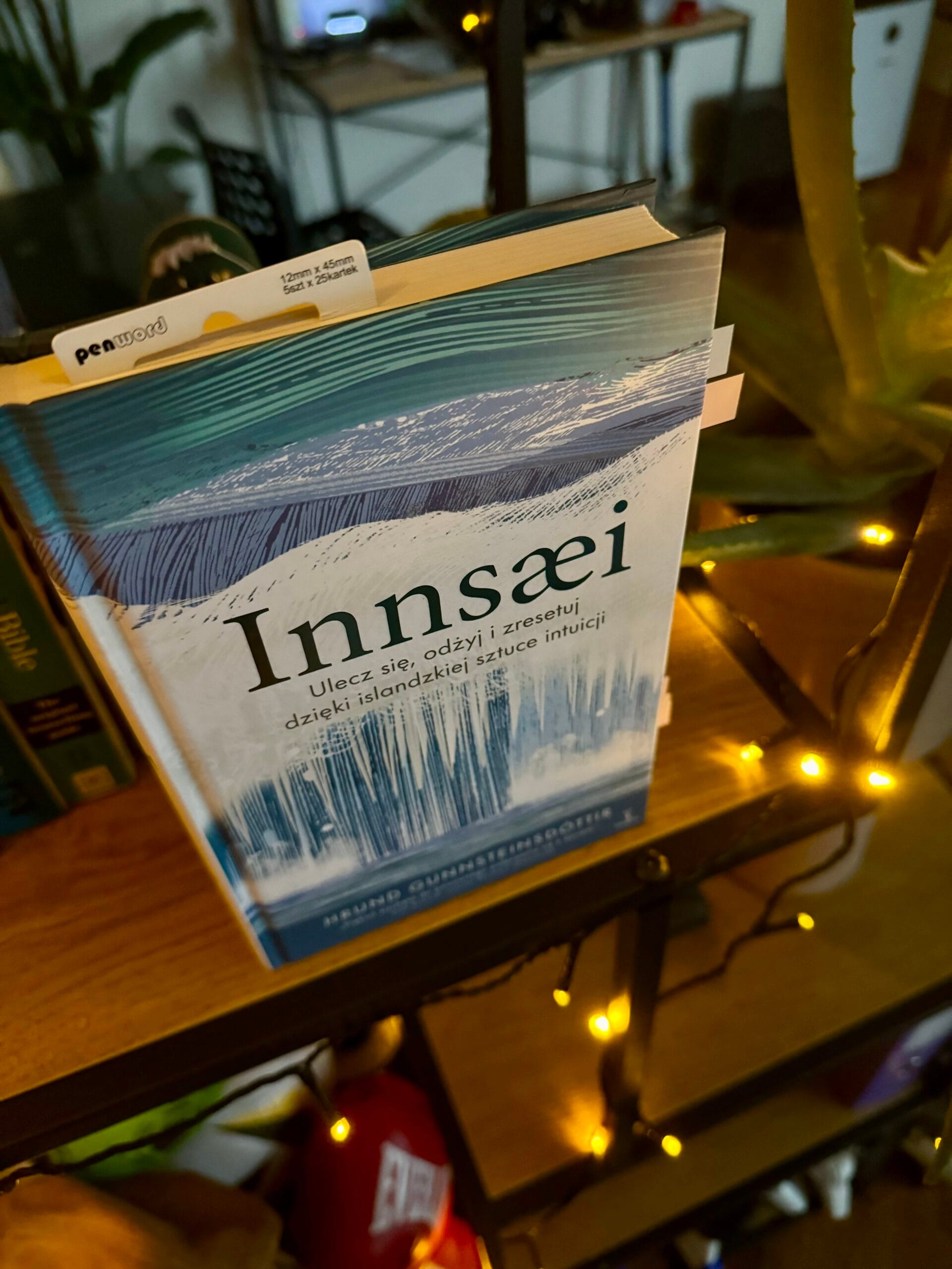 innsaei 